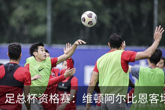 足总杯资格赛：维顿阿尔比恩客场击败强敌阿弗罗